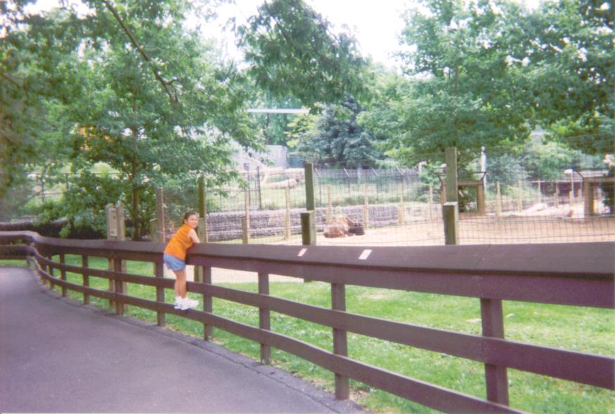 Kristine Zoo